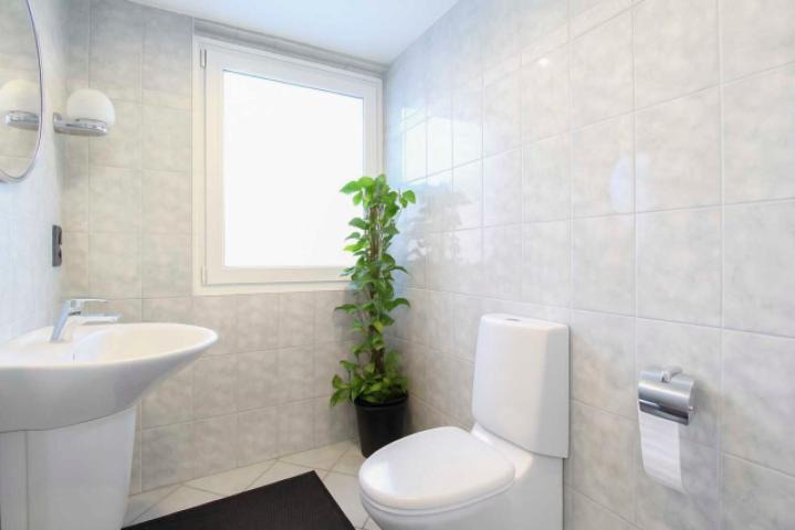 Gäste-WC im Erdgeschoss