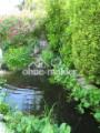 Gartenteich mit Wasserfall