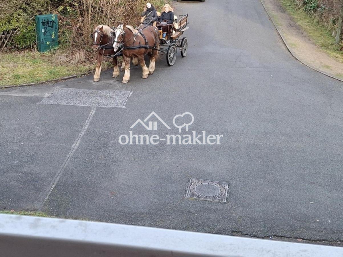 " Pferde im Vorgarten "