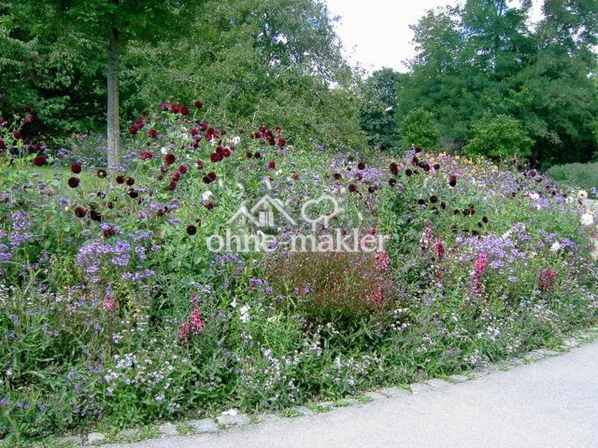 Grünanlage bei der Wohnung