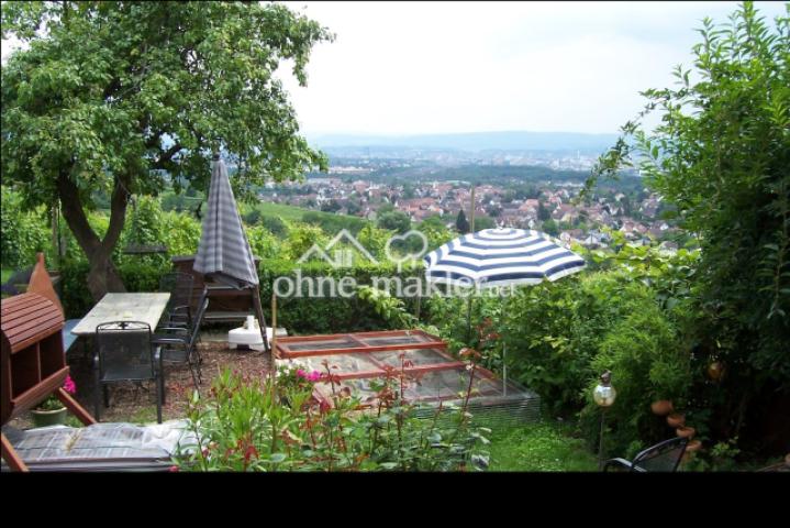 Blick in den Garten