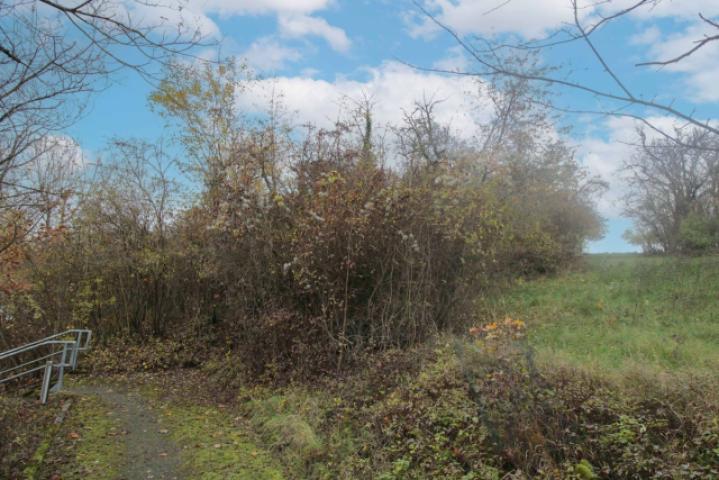 Weg zum Grundstück