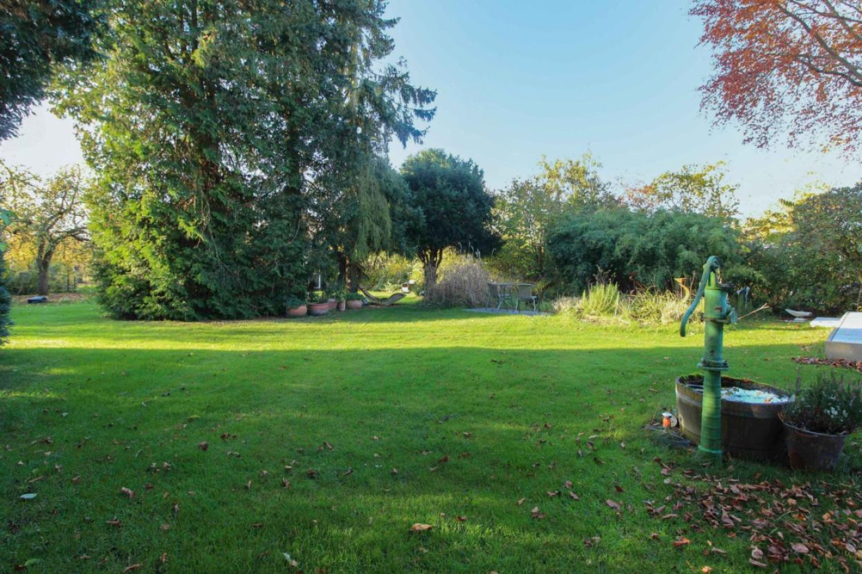 Blick in den Garten (2)