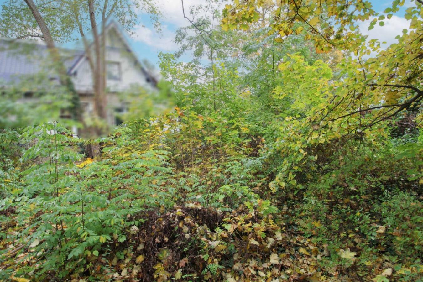 Mittig vom Grundstück