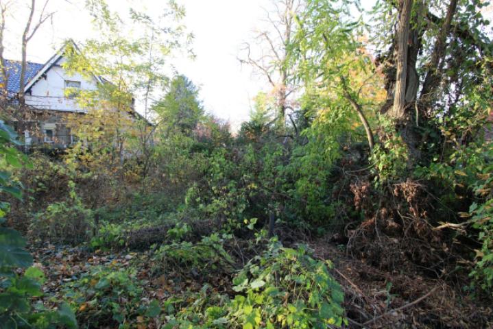 Seitlich vom Grundstck