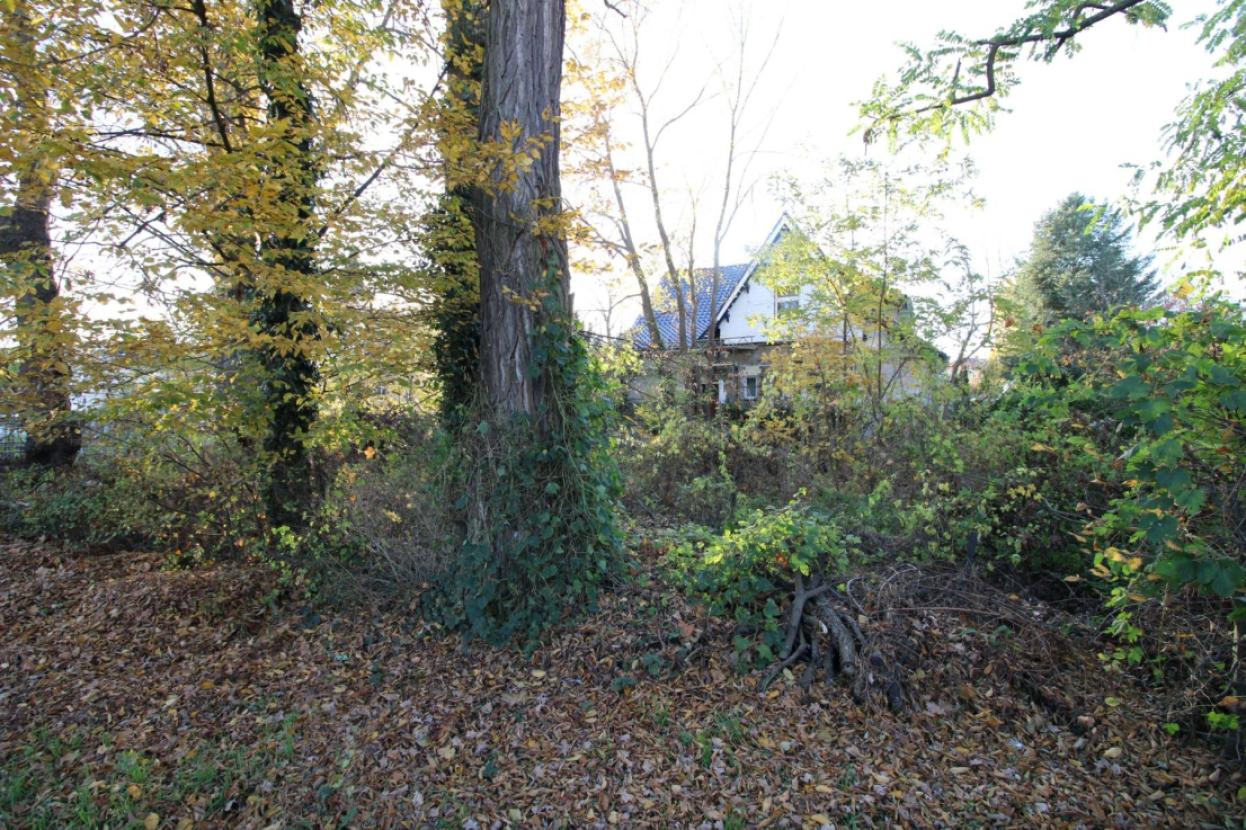 Seitlich vom Grundstück