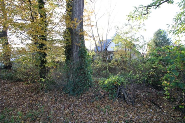 Seitlich vom Grundstück