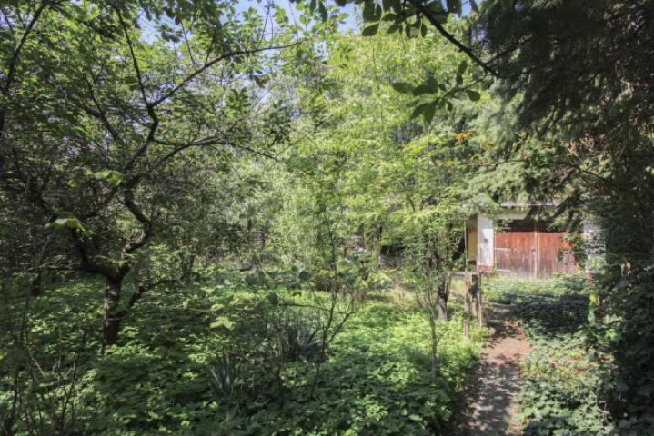 Weg auf dem Grundstück