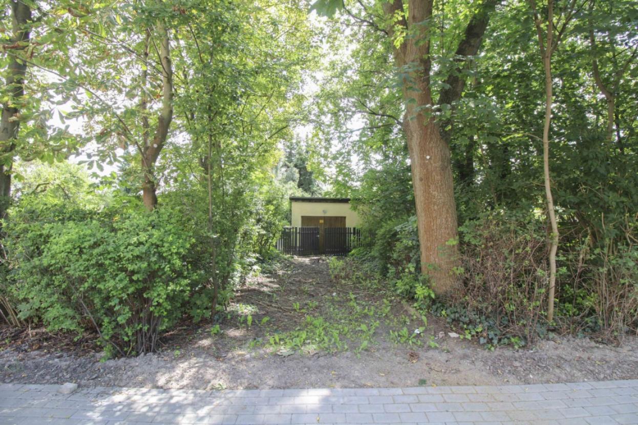 Gehweg und Auffahrt zum Grundstück