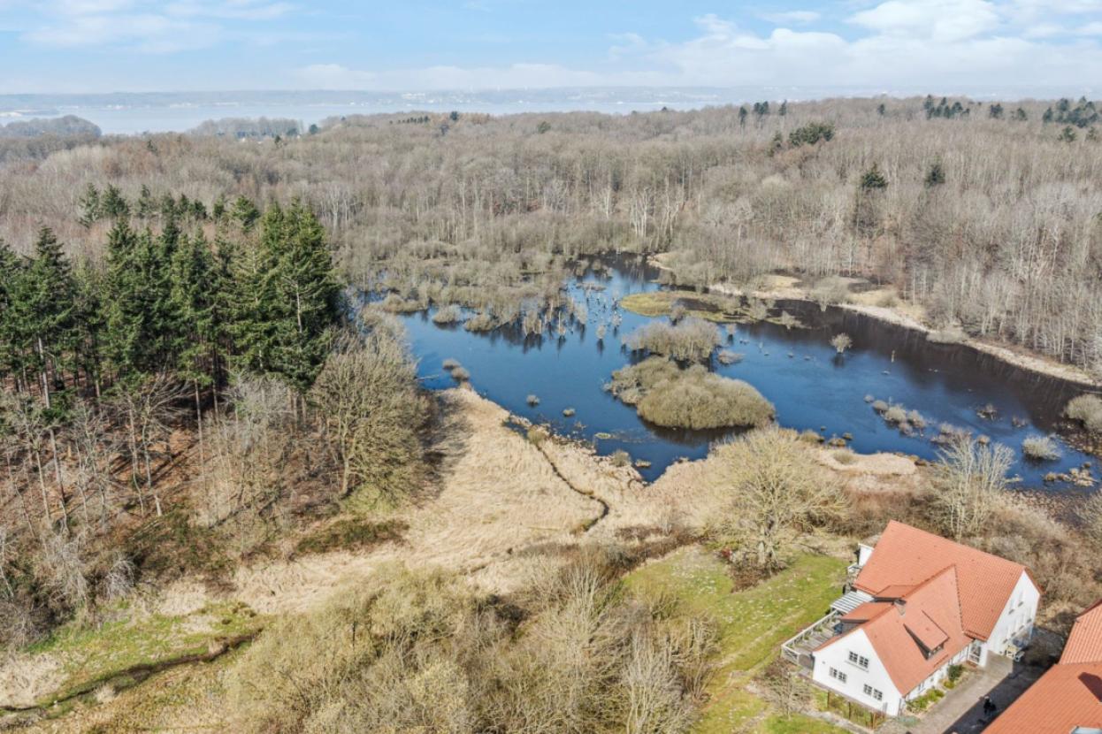 Wald bis an die Ostsee