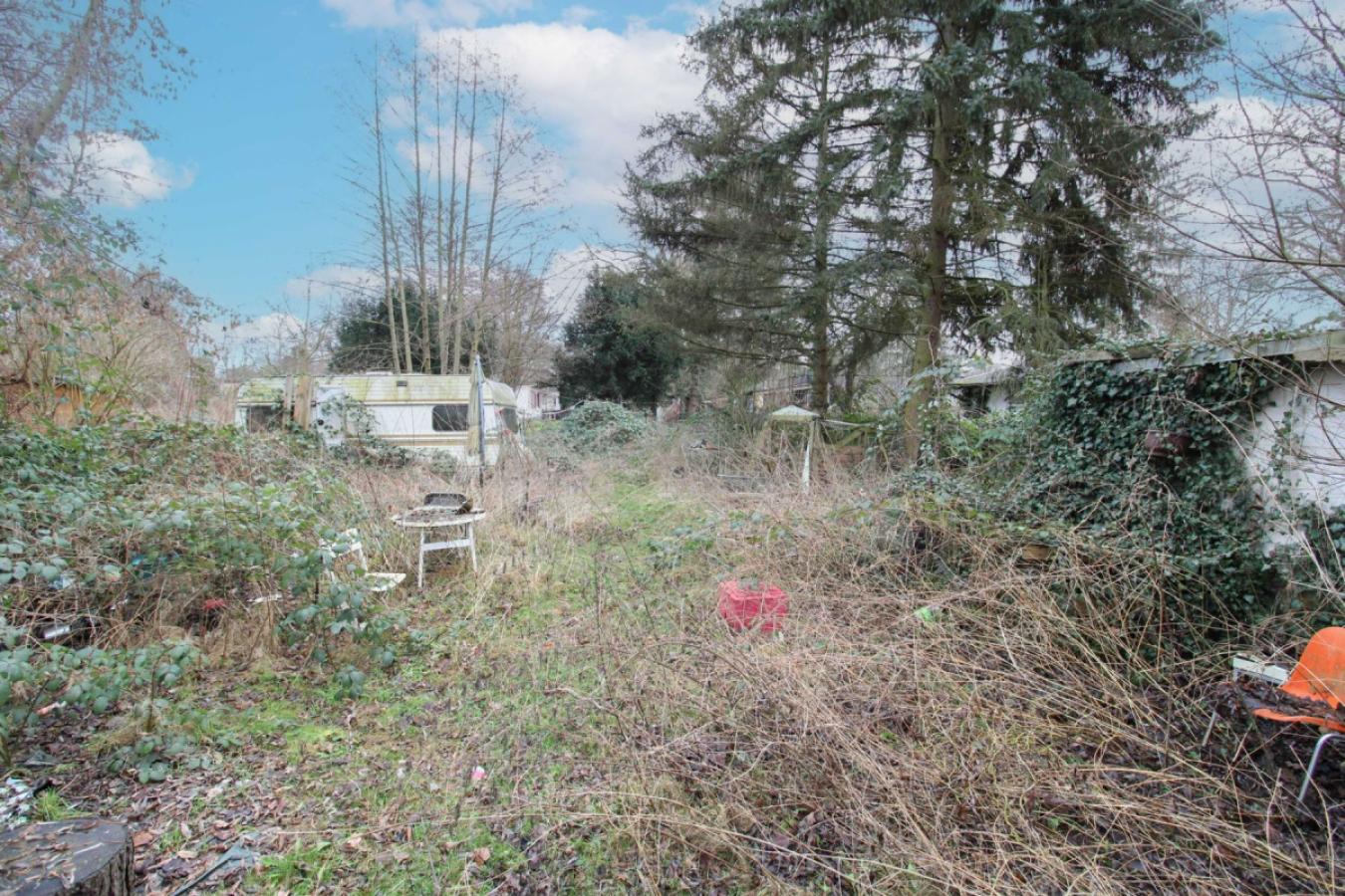 Linkes Grundstück (1)