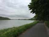 Rheinlandschaft