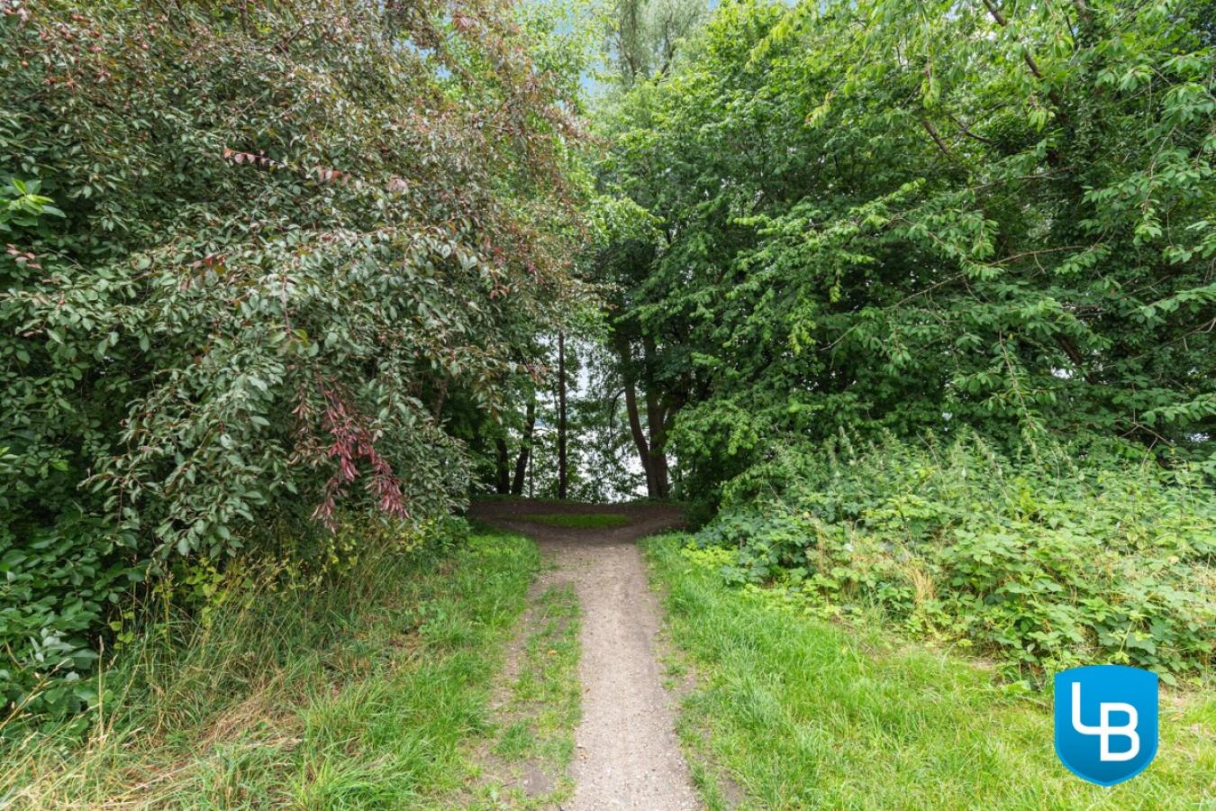 Feldweg zum Schöhsee