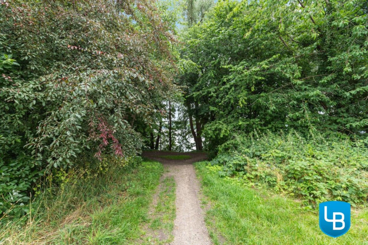 Feldweg zum Schöhsee