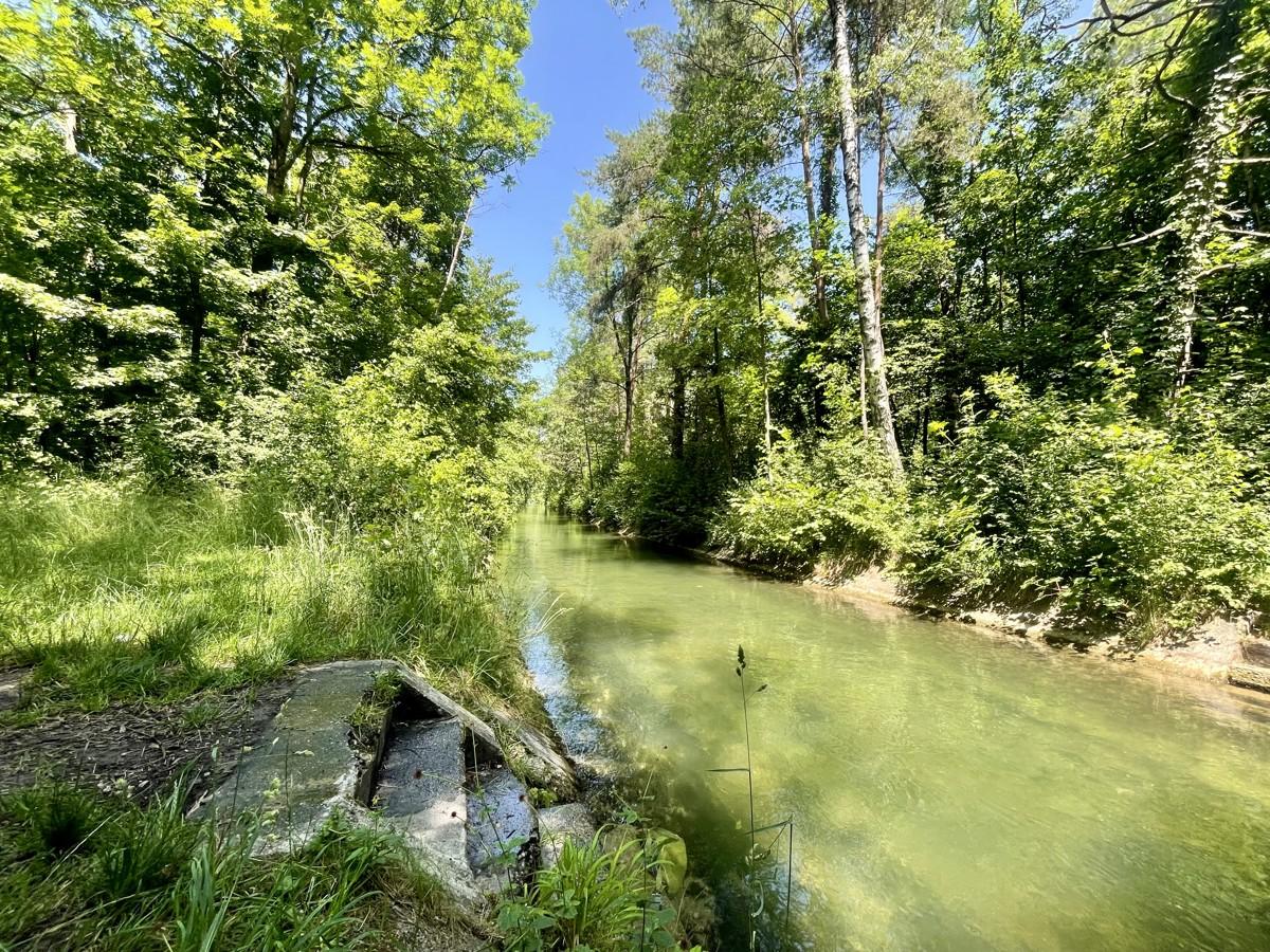 Badestelle angrenzender Lochbach