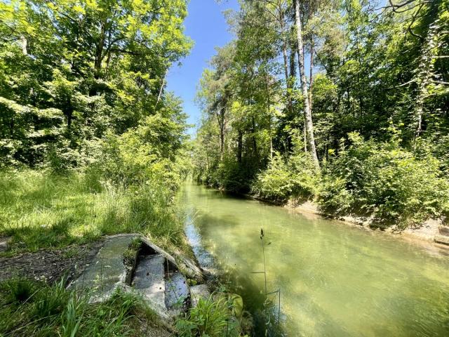 Badestelle angrenzender Lochbach