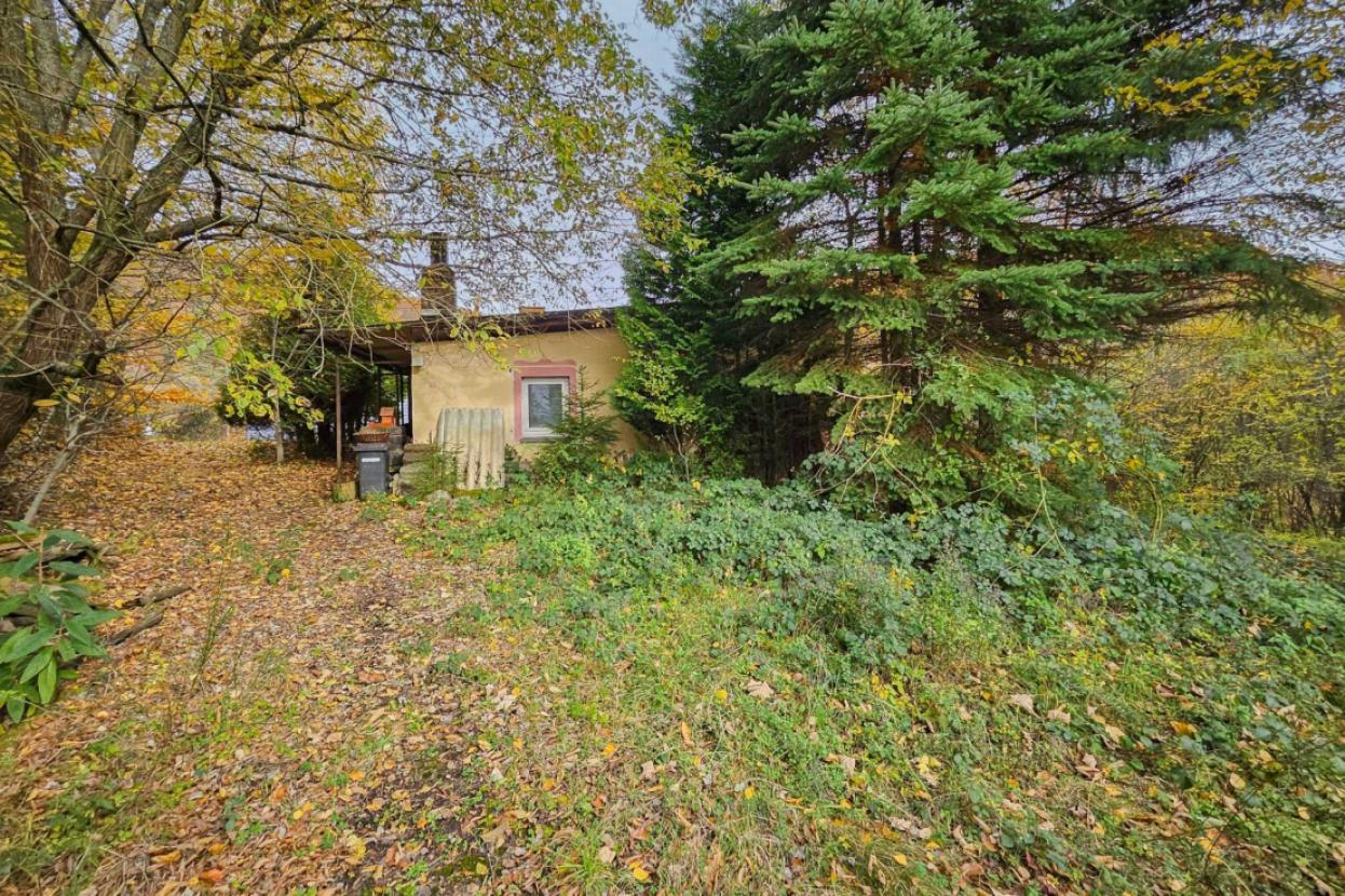 Altbestand Ferienhaus