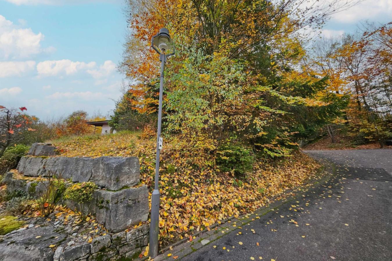 Baugrundstück 917 von Straße aus