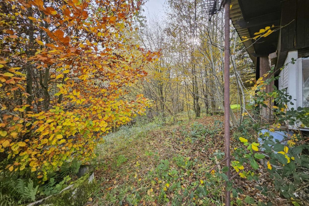 Blick aufs Waldgrundstück