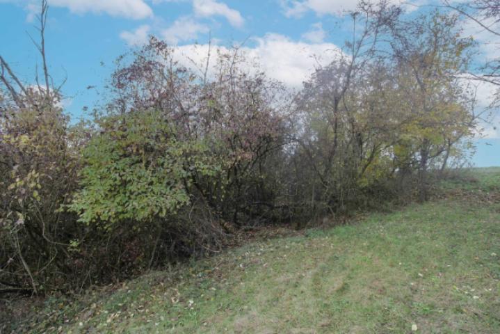 Seitenansicht Grundstück