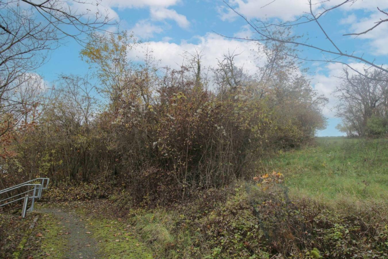 Weg zum Grundstück