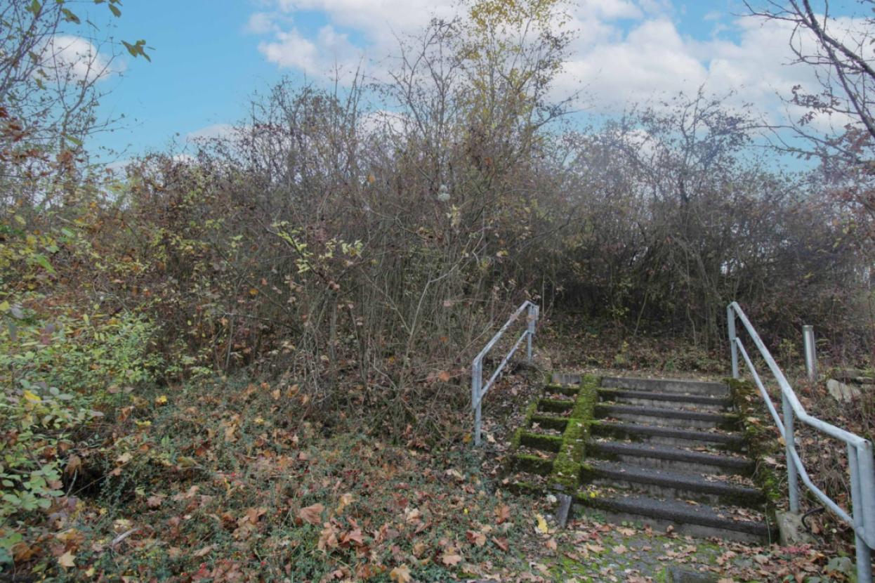 Treppenzugang Grundstück