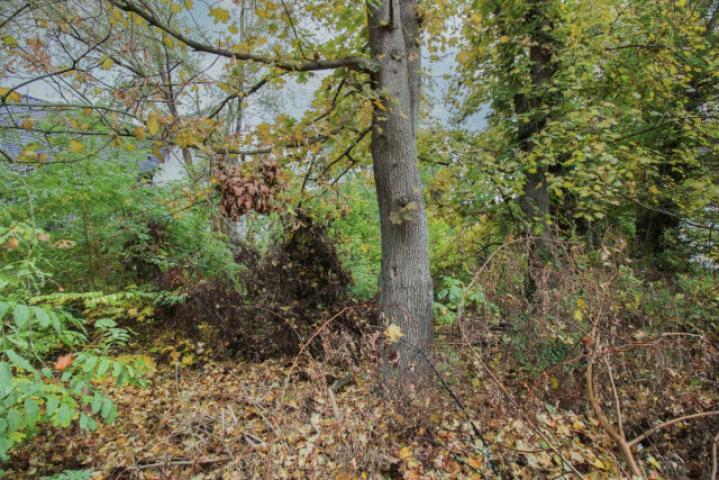 Mittig vom Grundstück