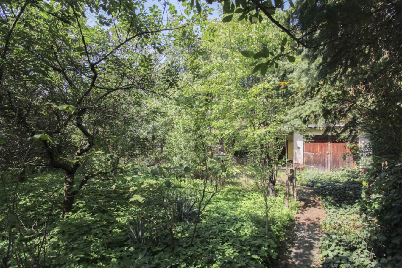 Weg auf dem Grundstück