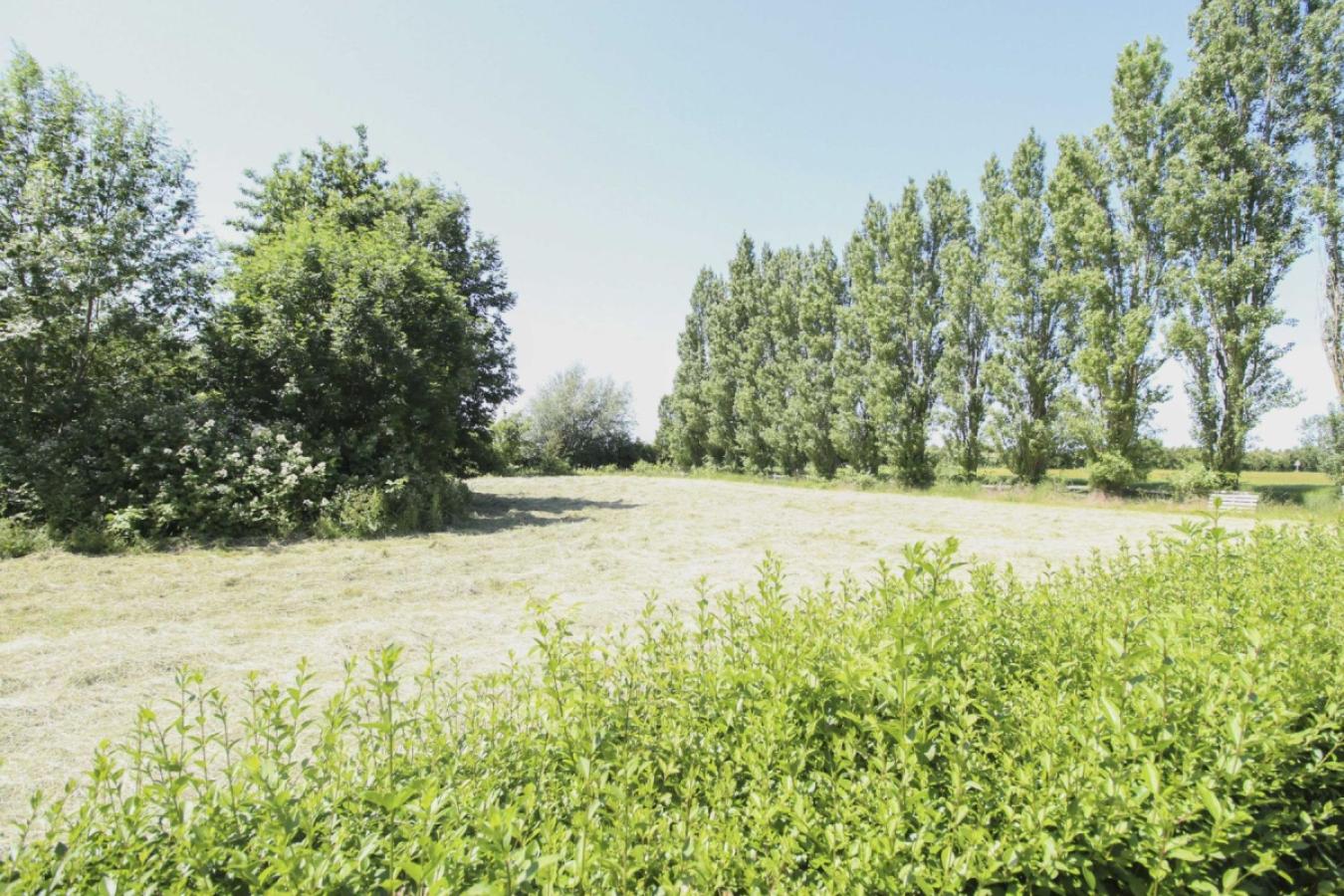 Grundstück als Kaufoption