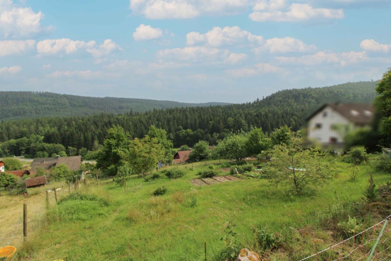 Ausblick von Grundstück Bild 1