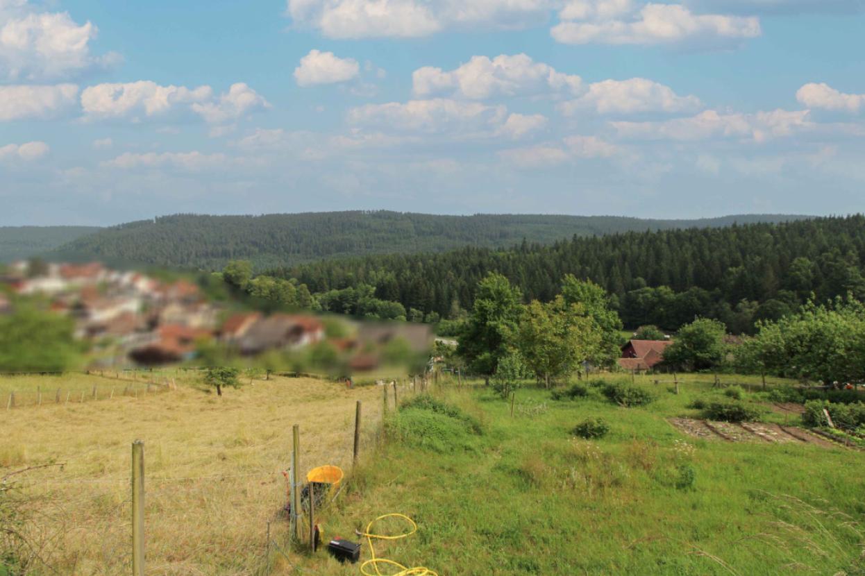 Ausblick von Grundstück Bild 2