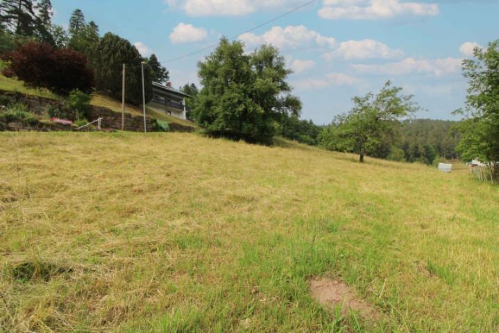 Grundstück rechte Seite Bild 2