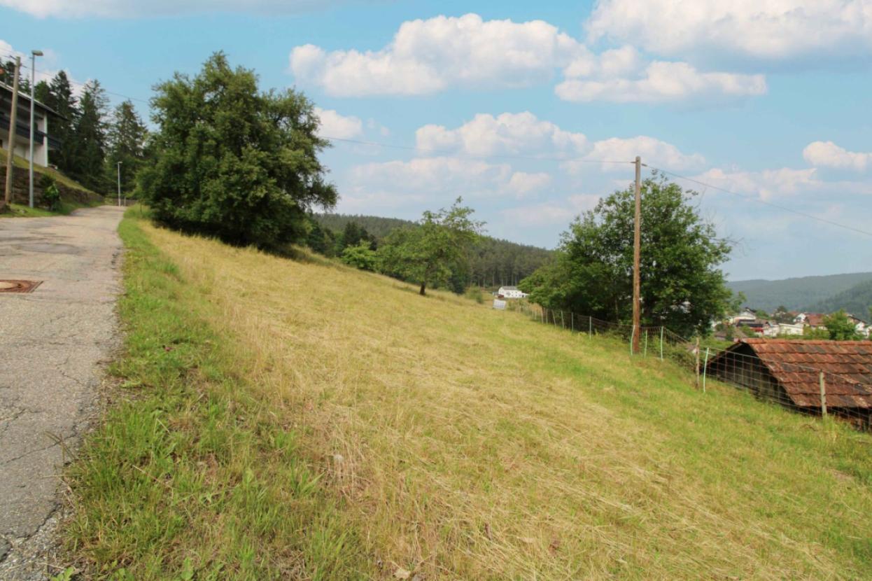 Grundstück rechts - von Straßenseite Bild 1