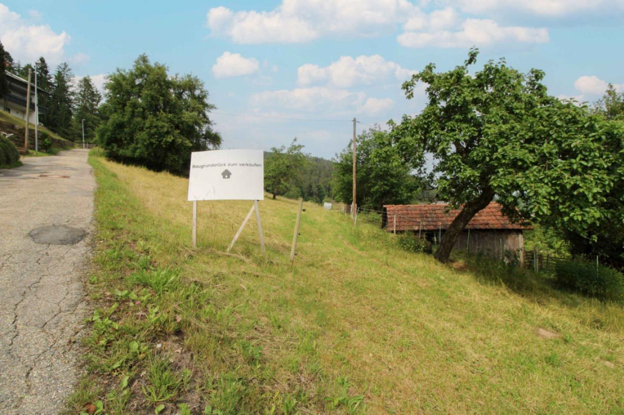 Grundstück rechts - von Straßenseite Bild 3