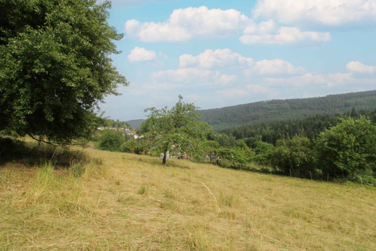 Grundstück von oben Bild 1