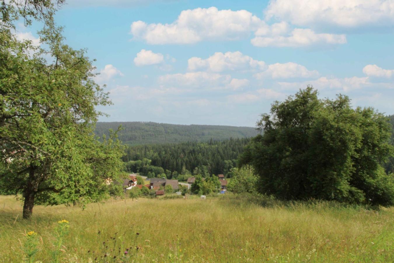 Grundstück von Seite