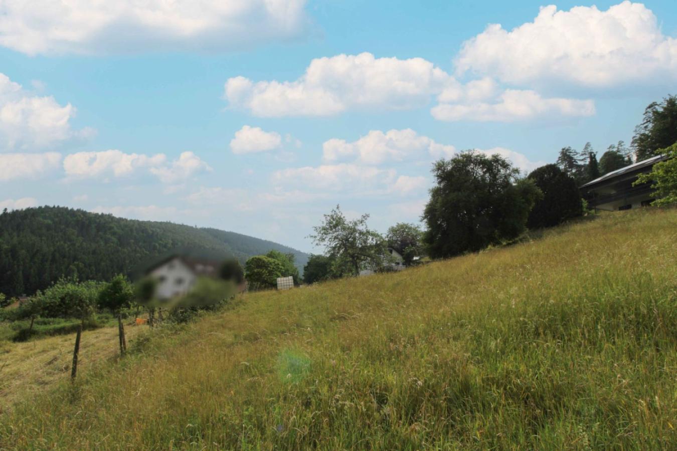 Grundstück von unten Bild 3