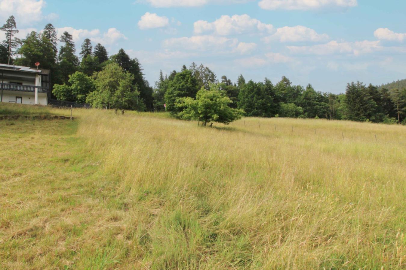 Grundstück von unten Bild 4