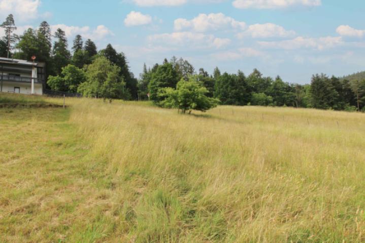 Grundstück von unten Bild 4