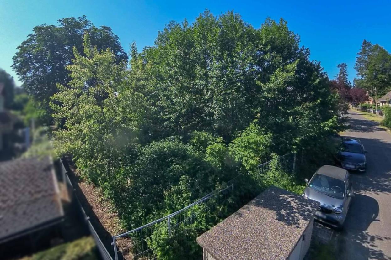 Blick auf das Grundstück