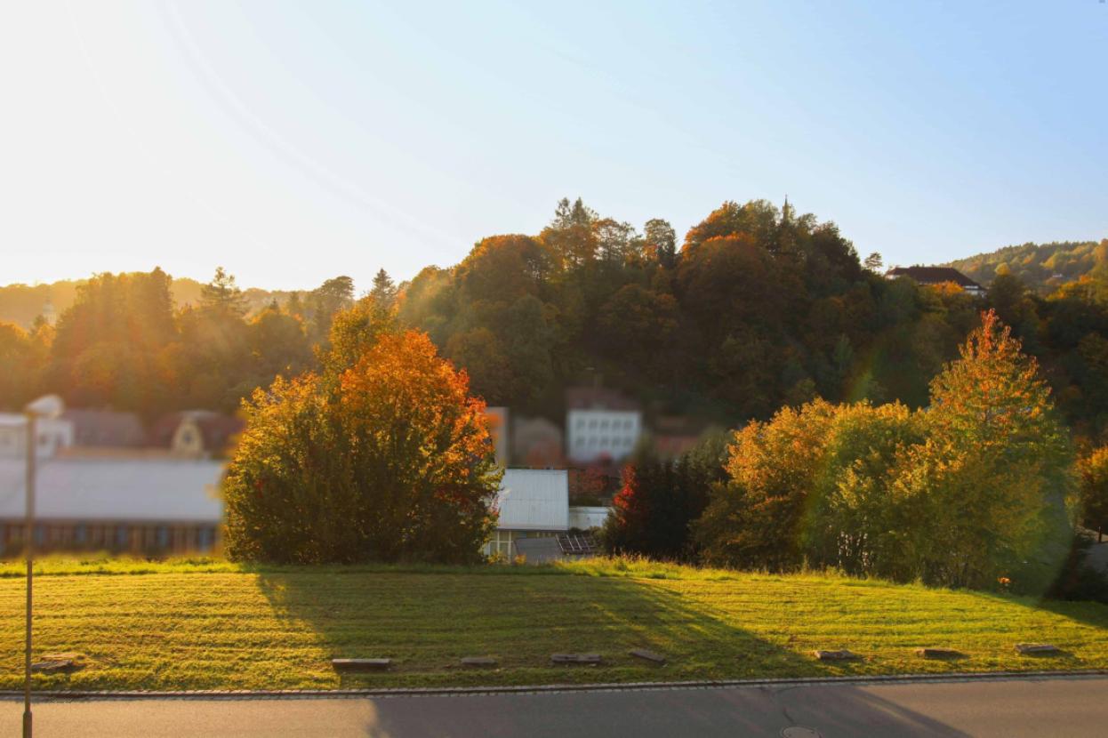 Aussicht 3 vom Grundstück