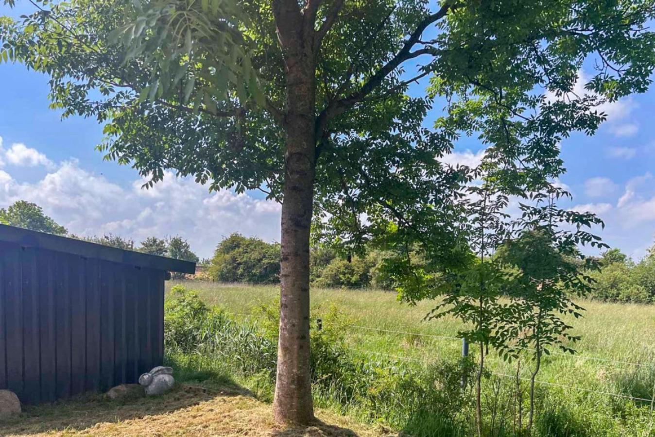 Blick auf die Felder