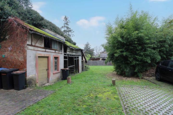 Schuppen (Altbestand)