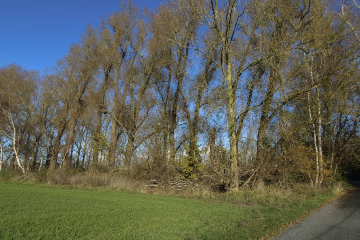 NieparsGrundstückvorne