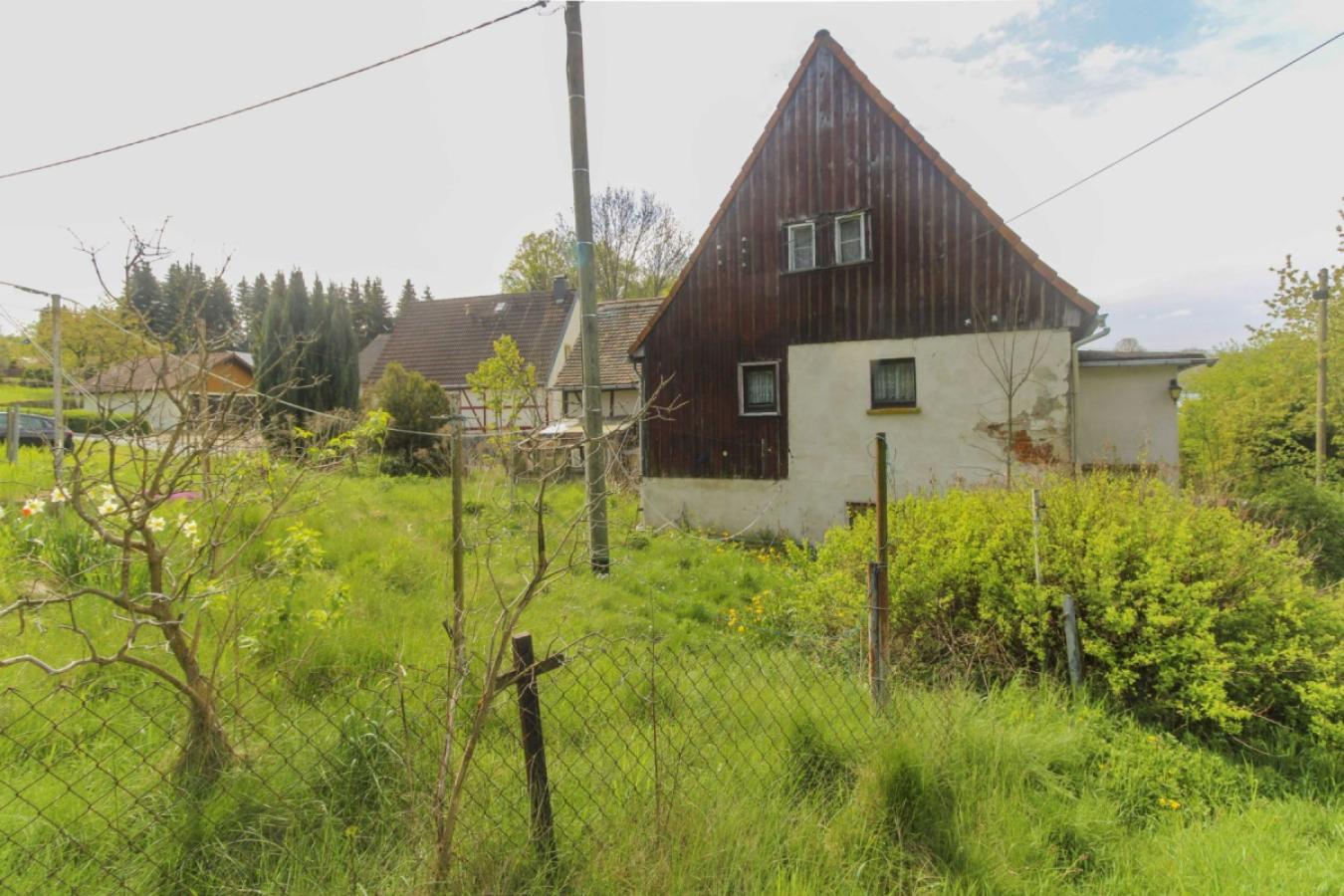 Garten mit Hausrückseite