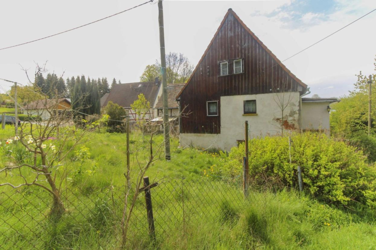 Garten mit Hausrückseite