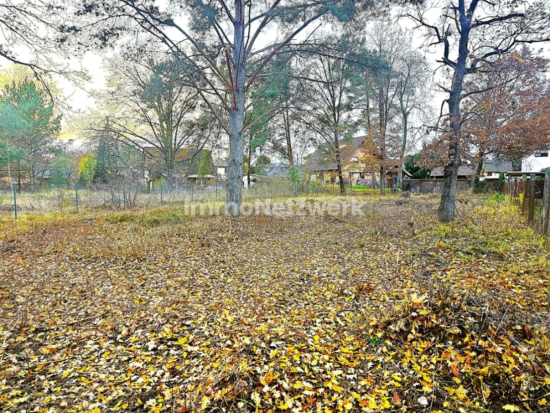 Grundstücksansicht von der Straße aus