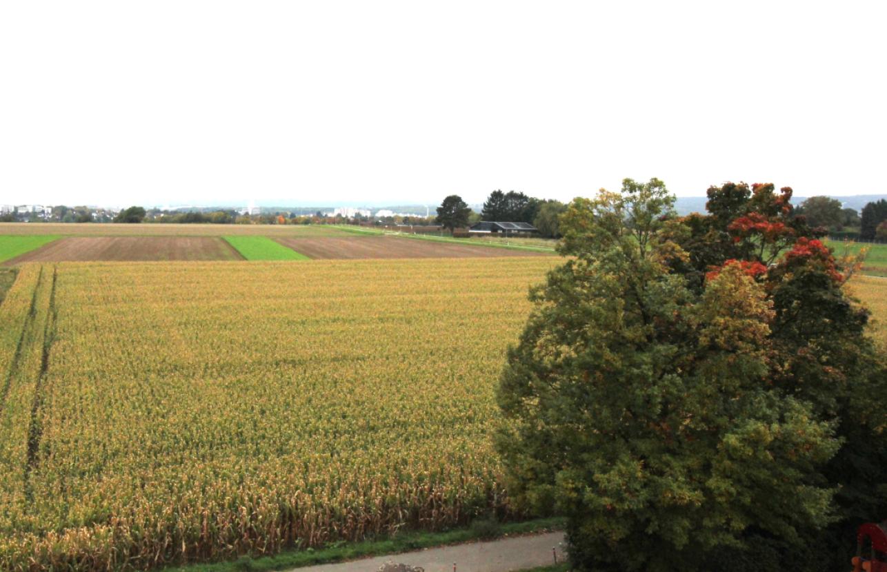 Ausblick1