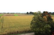 Ausblick1