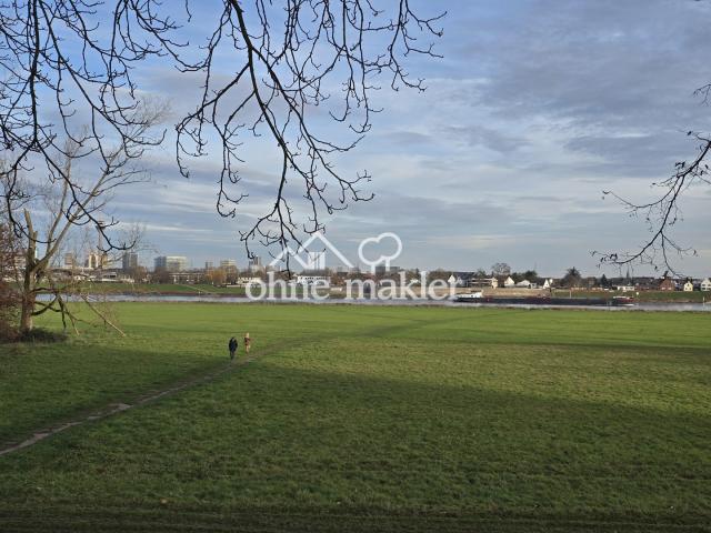 Ausblick über Rheinwiesen